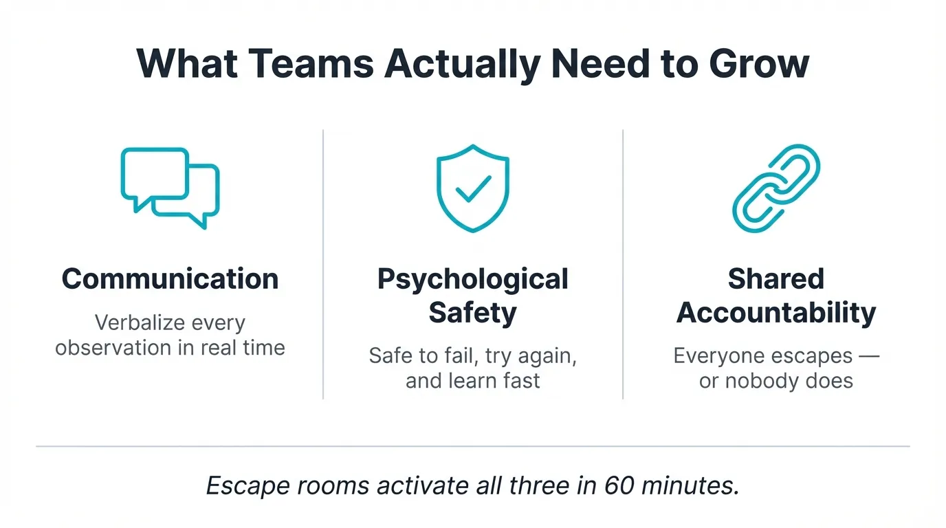 Three-column infographic titled 'What Teams Actually Need to Grow' with teal icons for communication, psychological safety, and shared accountability